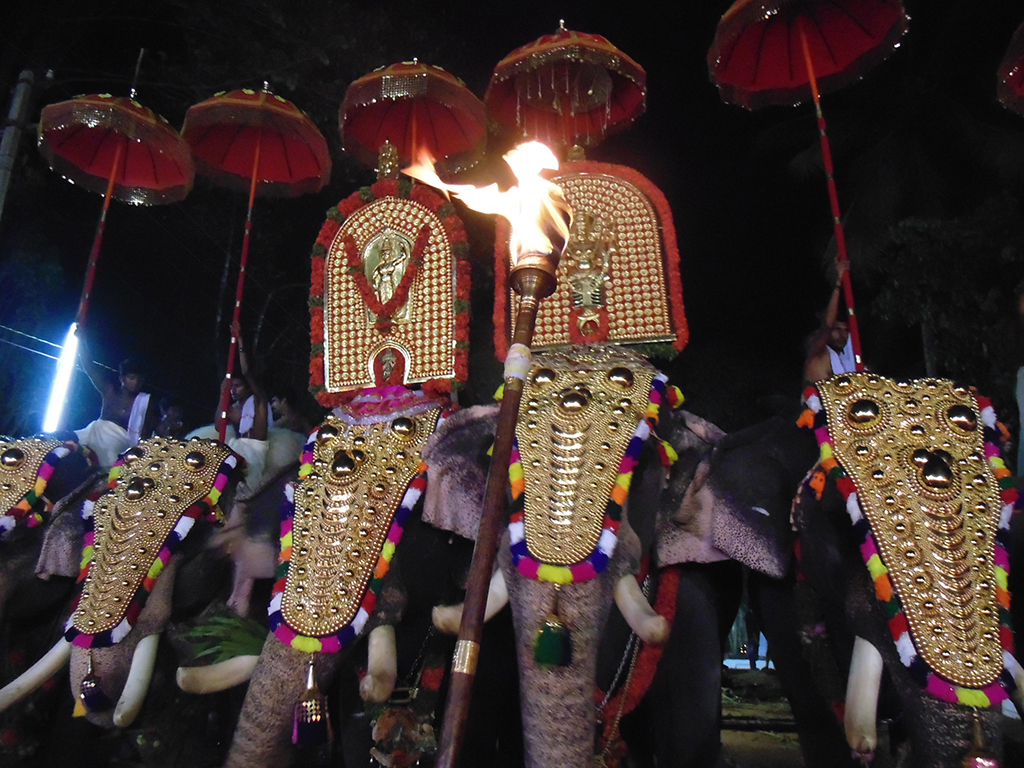 Sasthav at Peruvanam 2015