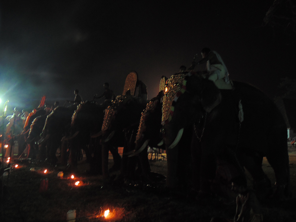 Sasthav at Peruvanam 2015
