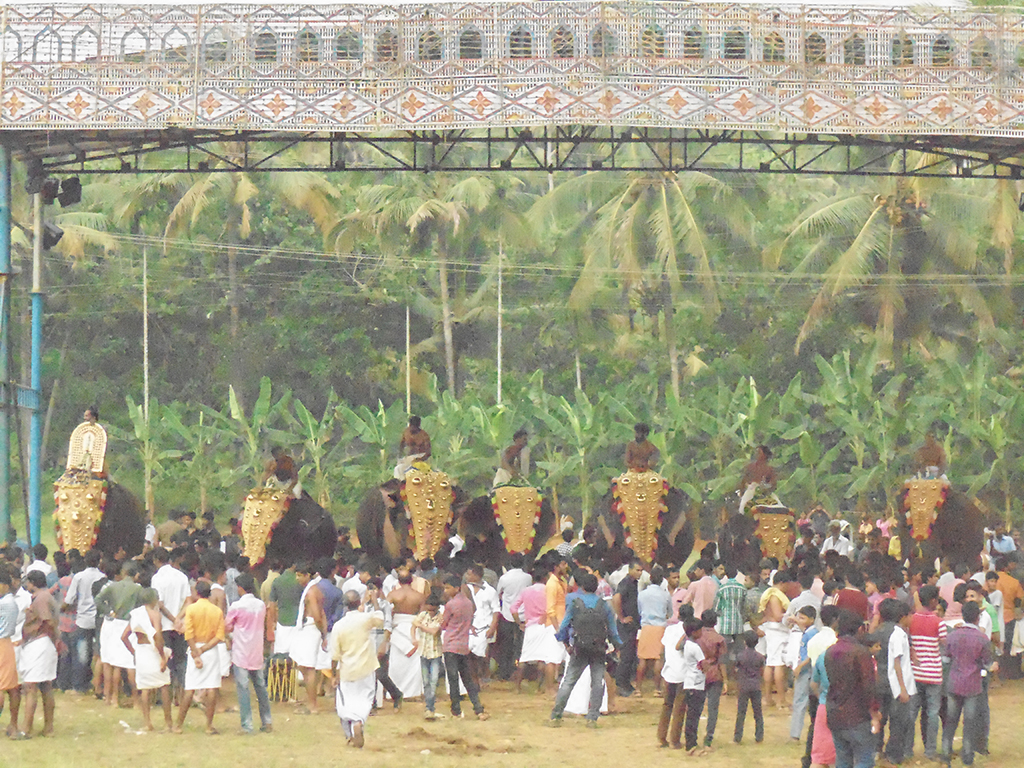 Sasthav at Pidikyaparambu 2015