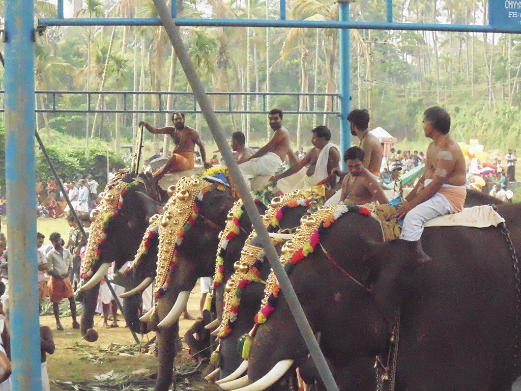 Sasthav at Pidikyaparambu 2015