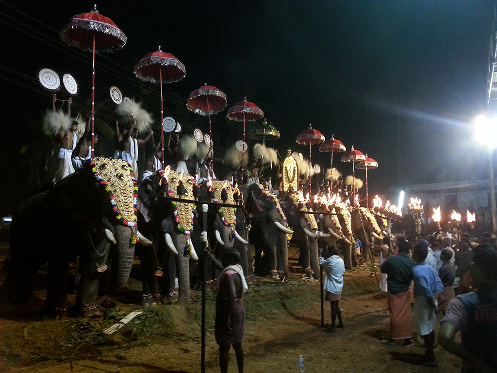 Sasthav at Pidikyaparambu 2015