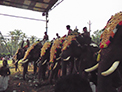 Sasthav at Pidikyaparambu 2015