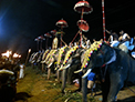 Sasthav at Pidikyaparambu 2015